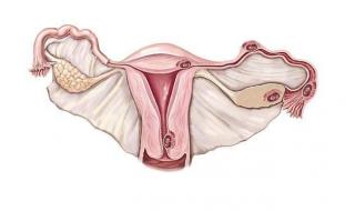 子宫腺肌症是什么病 子宫腺肌症是什么意思呢